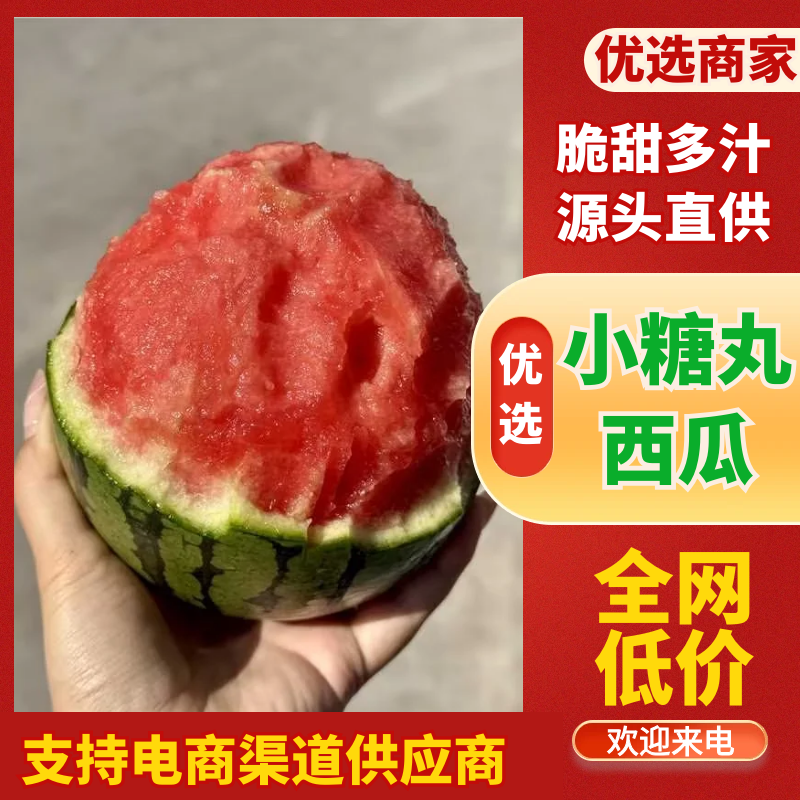 【精品】安徽小西瓜早春红玉西瓜基地直发量大便宜欢迎来电