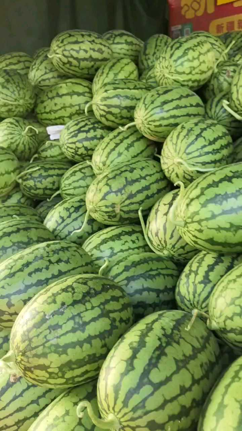 【精品】安徽小西瓜早春红玉西瓜基地直发量大便宜欢迎来电