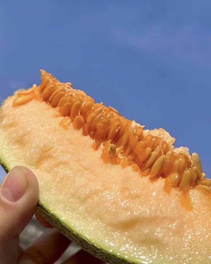 西州蜜瓜晓蜜25哈密瓜🍈产地直发量大从优可对接全国客商等