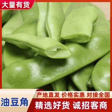【热卖】吉林豆角东北大油豆角基地直发价格便宜欢迎来电
