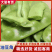 【热卖】吉林豆角东北大油豆角基地直发价格便宜欢迎来电