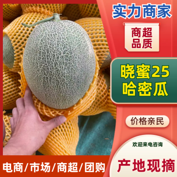 新疆晓蜜25哈密瓜｜火焰山西州蜜瓜高糖脆甜整车代办一条龙