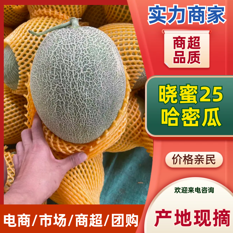 新疆晓蜜25哈密瓜｜火焰山西州蜜瓜高糖脆甜整车代办一条龙