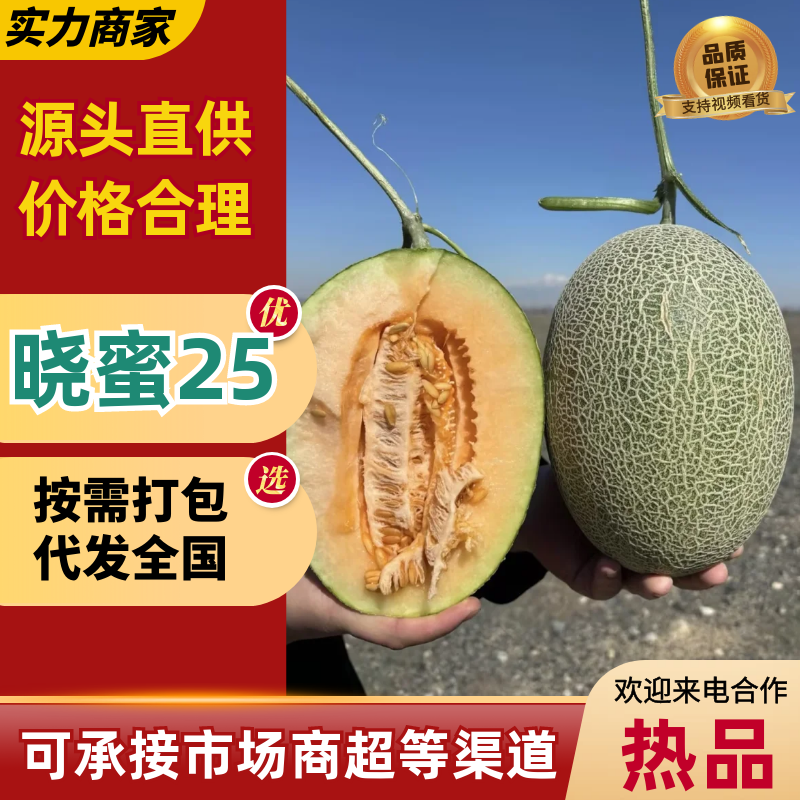 新疆西州蜜25晓蜜哈密瓜16-18度高糖耐运常年稳定货源