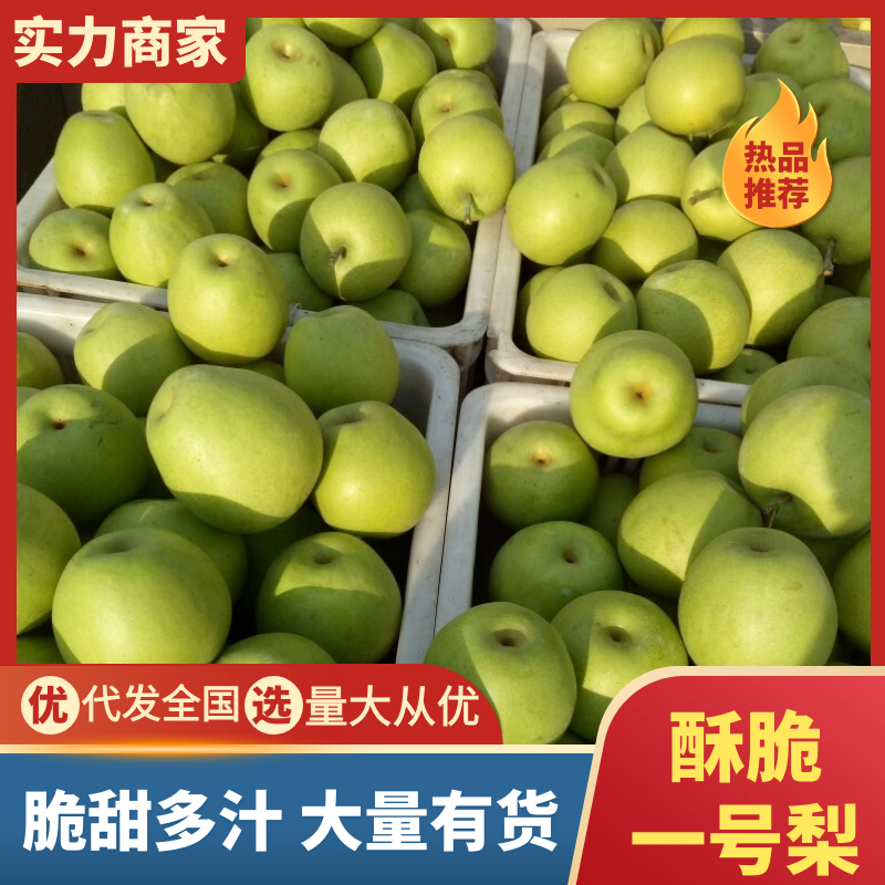 【推荐】酥脆一号梨现摘现发保质保量视频看货选货