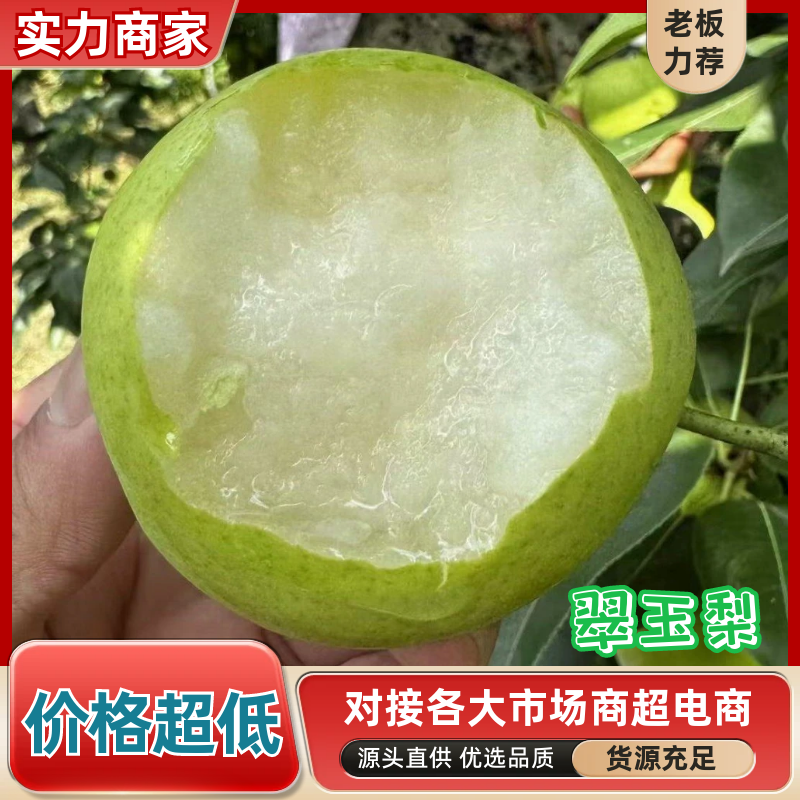 【推荐】翠玉梨产地直发保质保量脆甜多汁量大优惠