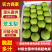 【热卖】翠玉梨安徽翠玉梨基地直供规格齐全酥脆多汁