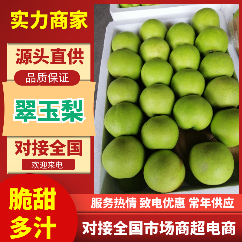 【热卖】翠玉梨安徽翠玉梨基地直供规格齐全酥脆多汁