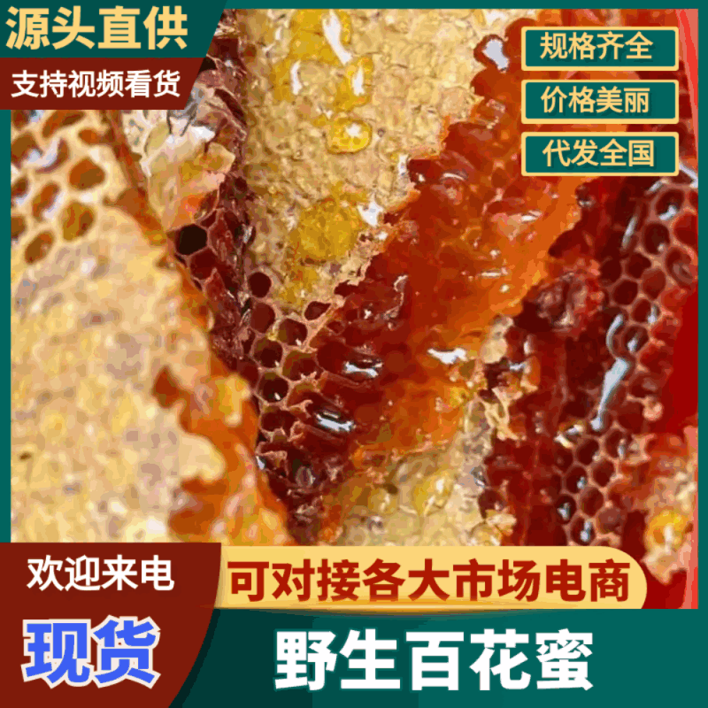 【精品】甘肃土蜂蜜甜而不腻保质保量对接电商商超团购