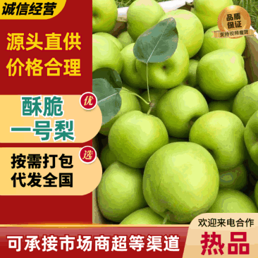【精品】砀山梨翠玉梨大量上市对接全国市场商超电商