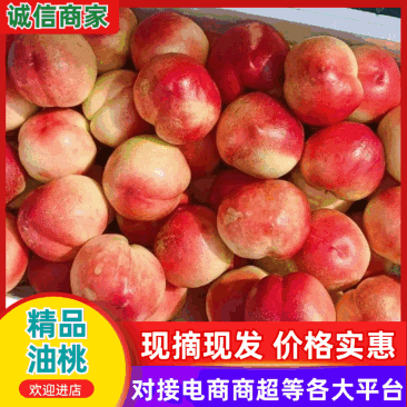 【推荐】安徽油桃产地直发规格齐全对接全国市场商超电商