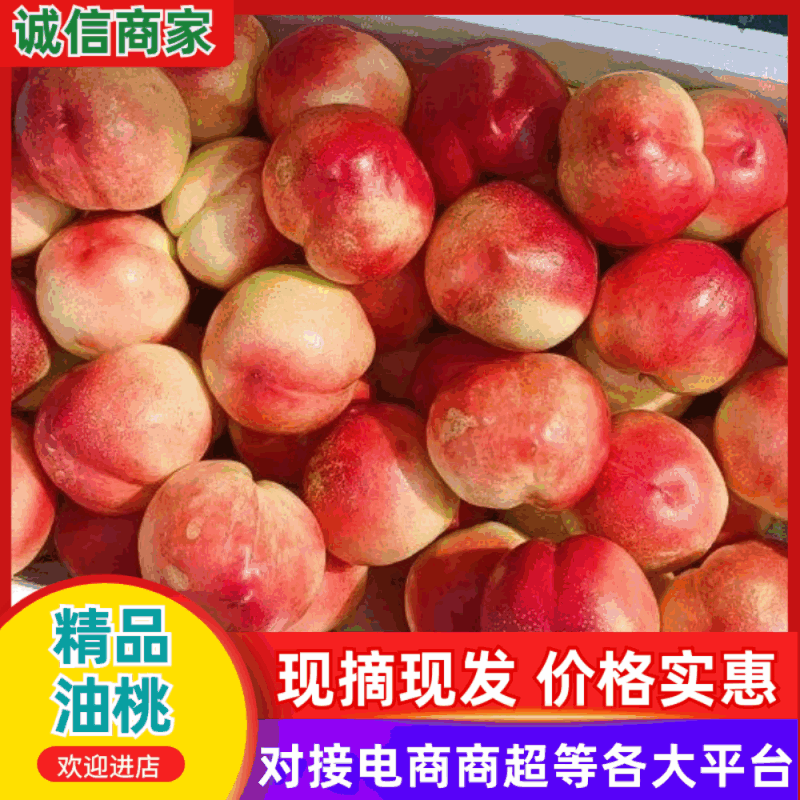 【推荐】安徽油桃产地直发规格齐全对接全国市场商超电商