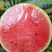 河北西瓜唐山精品甜王西瓜基地直发对接电商市场商超