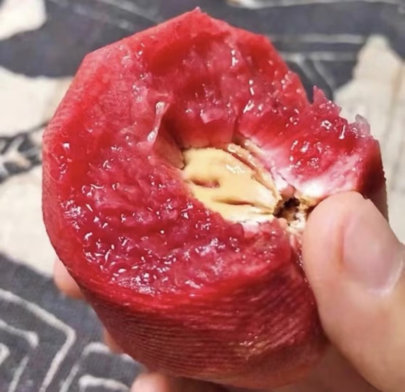 精品桃子🍑毛桃血桃品类齐全好吃不贵欢迎采购对接全国客商