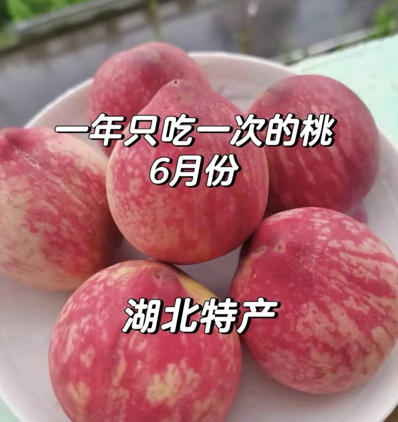 精品桃子🍑毛桃血桃品类齐全好吃不贵欢迎采购对接全国客商