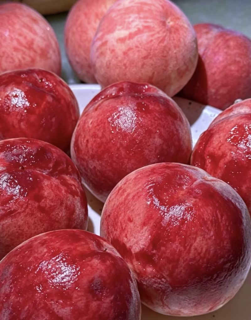 精品桃子🍑毛桃血桃品类齐全好吃不贵欢迎采购对接全国客商