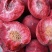 精品桃子🍑毛桃血桃品类齐全好吃不贵欢迎采购对接全国客商