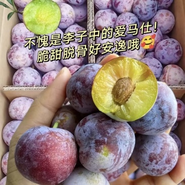 五月脆李子好吃不贵几十万斤品质保障先到先得可对接全国