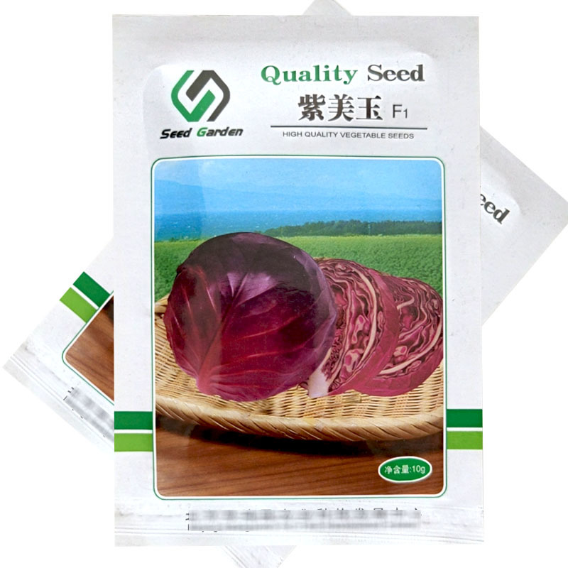 紫美玉紫甘蓝种子卷心菜紫包菜10g耐裂大头菜基地用种