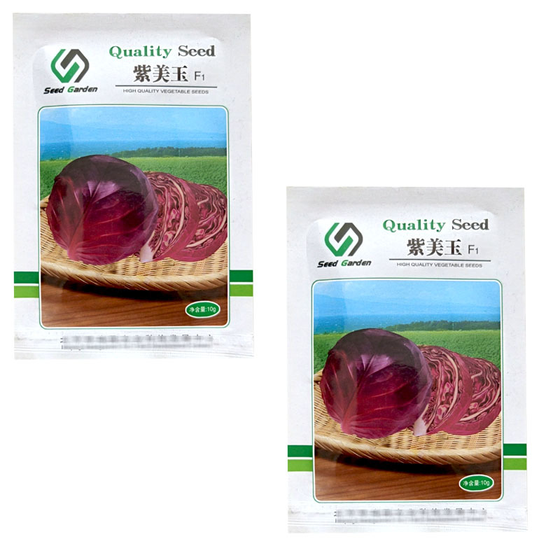 紫美玉紫甘蓝种子卷心菜紫包菜10g耐裂大头菜基地用种