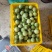 中大果60-90g｜灵山伯劳自家果园钦蜜9号黄金百