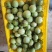 中大果60-90g｜灵山伯劳自家果园钦蜜9号黄金百