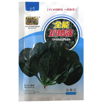 全能趴地菠菜种子半直立圆菠菜黑亮叶厚耐寒耐热大田基地型