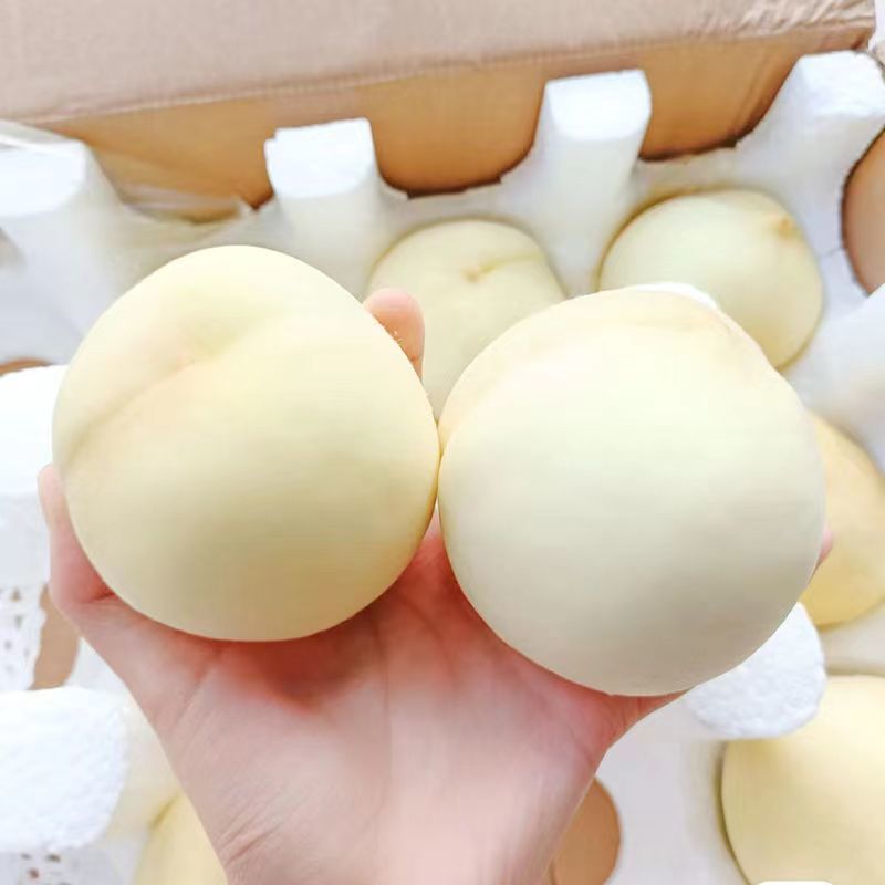 山西白玉水蜜桃产地直发新鲜孕妇水果大白桃桃子包邮一件代发