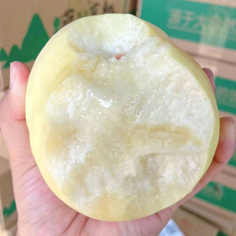 山西白玉水蜜桃产地直发新鲜孕妇水果大白桃桃子包邮一件代发
