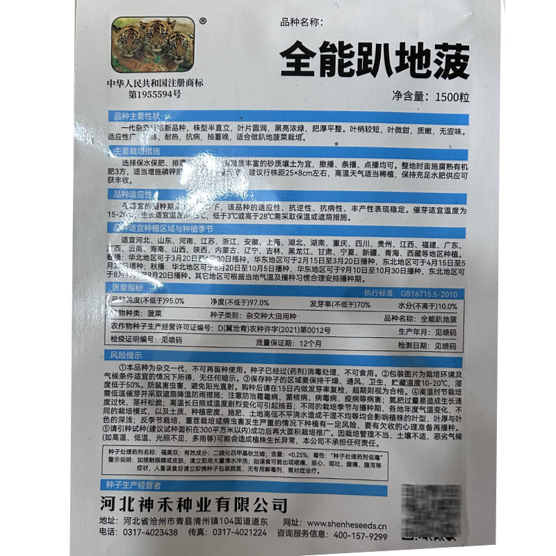 全能趴地菠菜种子半直立圆菠菜黑亮叶厚耐寒耐热大田基地型