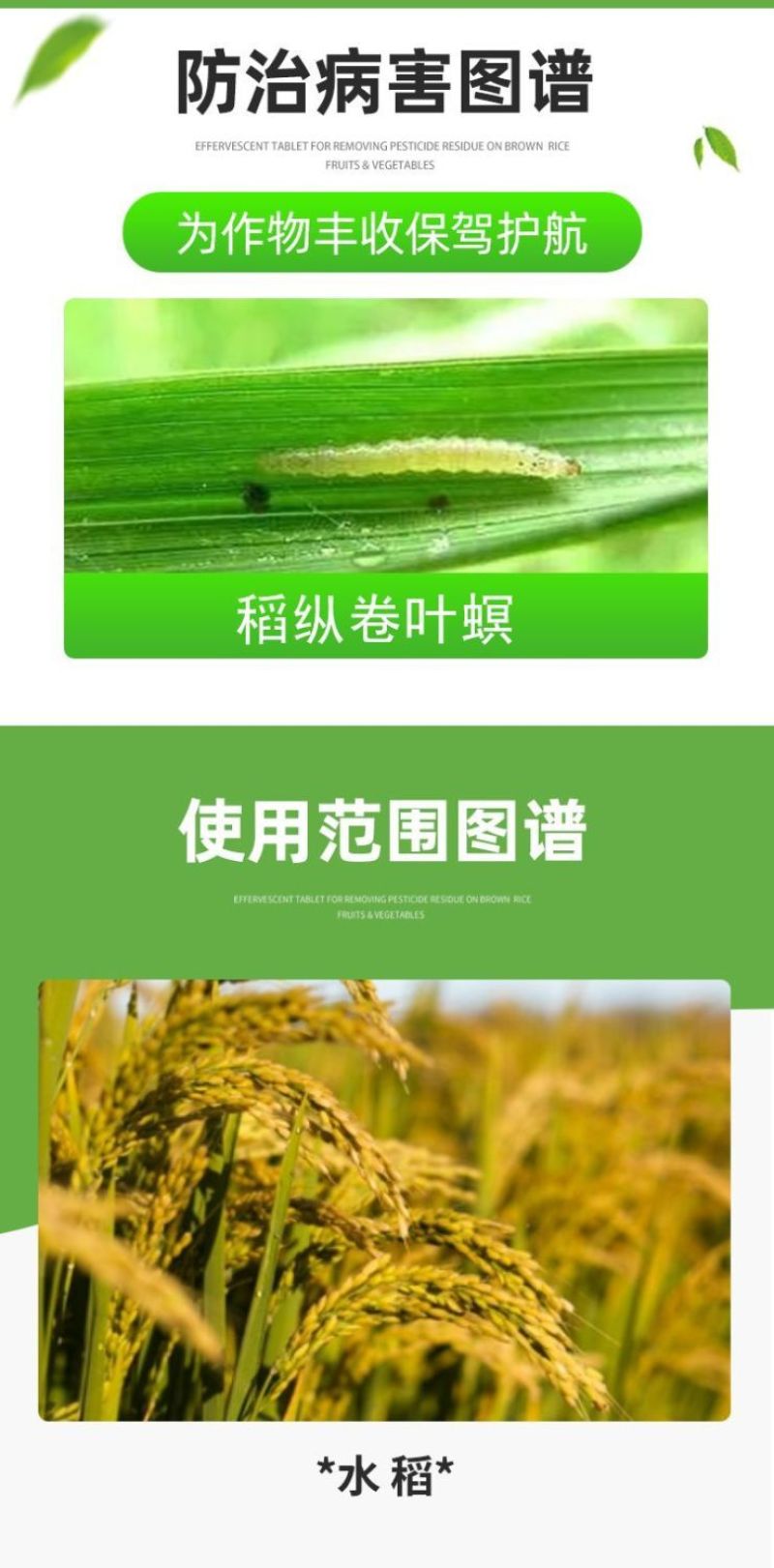 氯虫苯甲酰胺茚虫威二化螟水稻蔬菜小菜蛾钻心虫卷叶螟通用杀