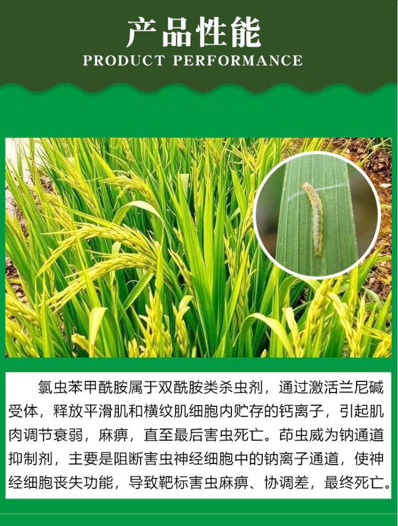 20%氯虫茚虫威氯虫苯甲酰胺水稻稻纵卷叶螟钻心虫农药杀虫