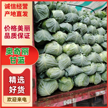 奥奇丽产地直发,保质保量,量大从优,高山蔬菜,纯绿色蔬菜