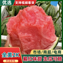 全美2K西瓜🍉小吊瓜小糖丸精品西瓜几十万斤服务至上欢迎