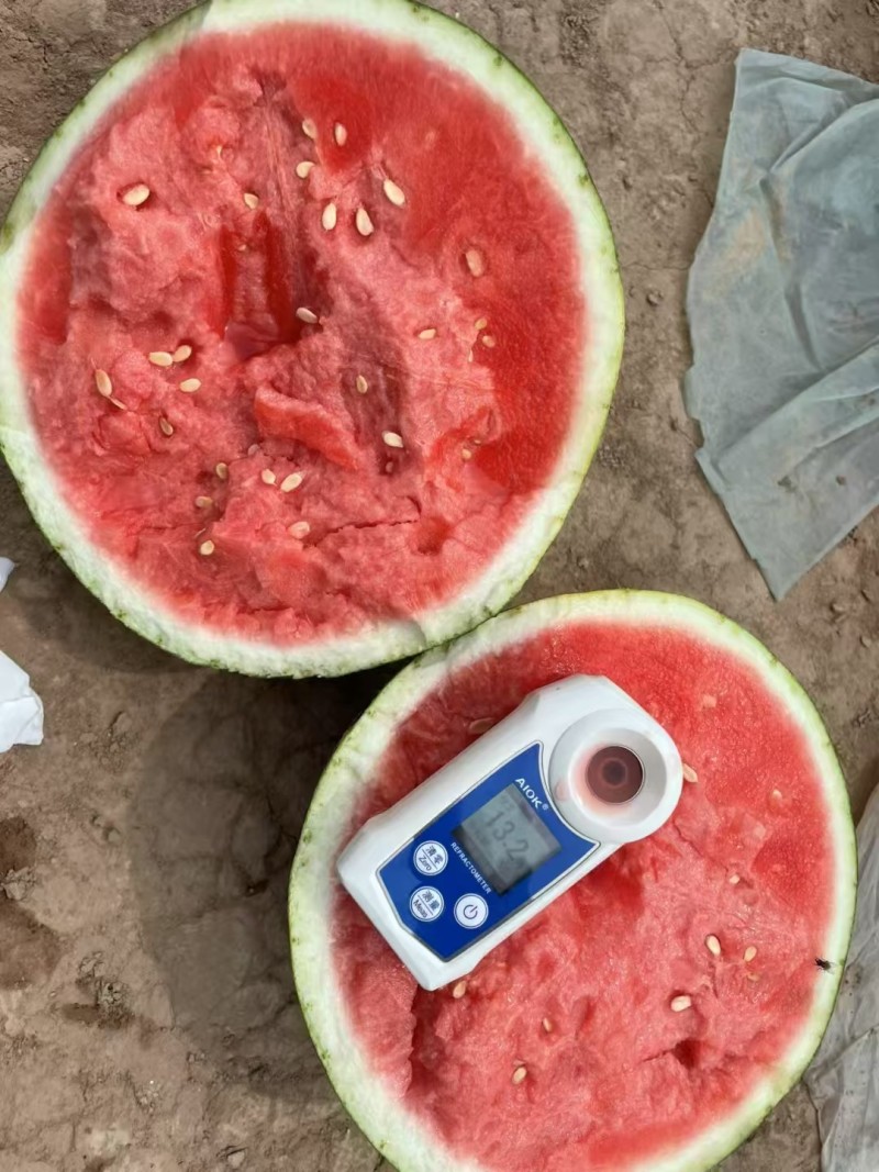 宜昌美都西瓜皮薄肉厚无生瓜水晶瓜加毛毡专业挑瓜工人一条龙服务