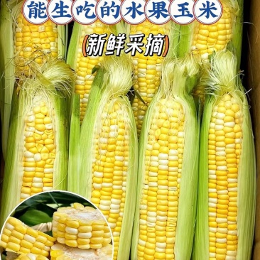 河南水果玉米基地直发对接电商市场商超可视频看货