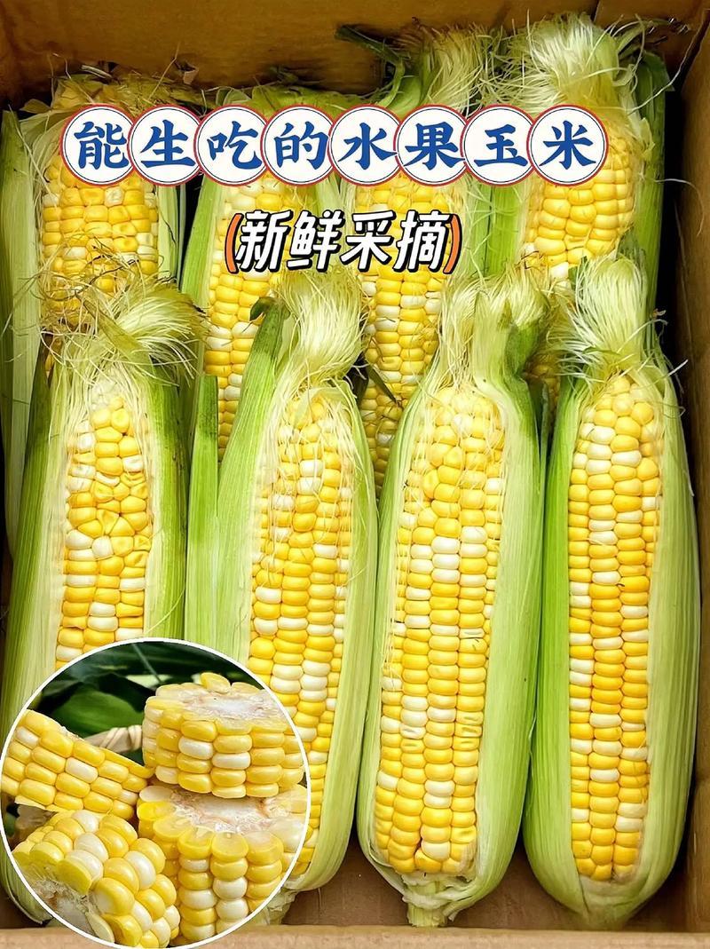 河南水果玉米基地直发对接电商市场商超可视频看货