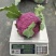 紫色花菜种子65天免盖球露地种植早熟龙紫松花椰菜种子
