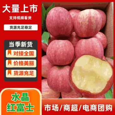 水晶红富士苹果,支持电商,商超,市场,精品红富士全年有货
