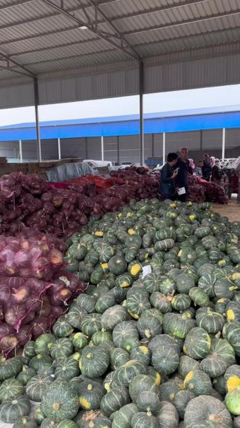 河南南瓜精品板栗南瓜基地一手货源全国发货可视频