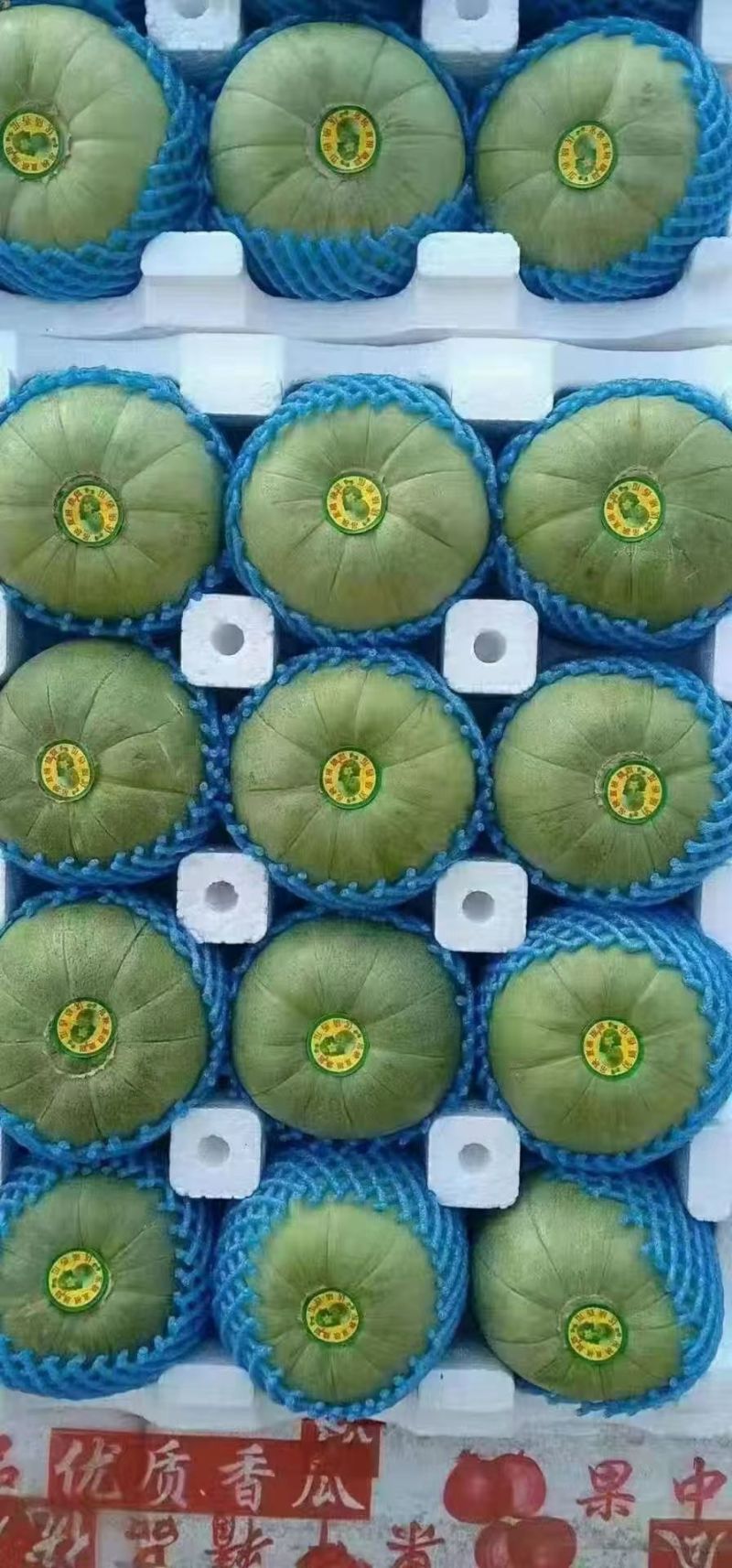 宜昌绿宝甜瓜头茬挂口感脆甜货量大熟度刚好糖分足承接电商商超
