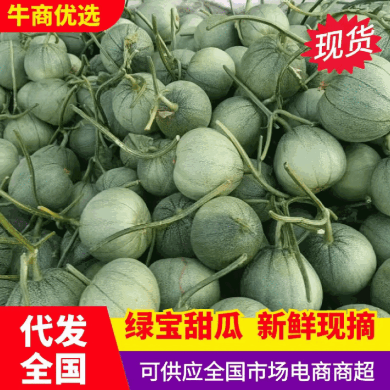 宜昌绿宝甜瓜头茬挂口感脆甜货量大熟度刚好糖分足承接电商商超