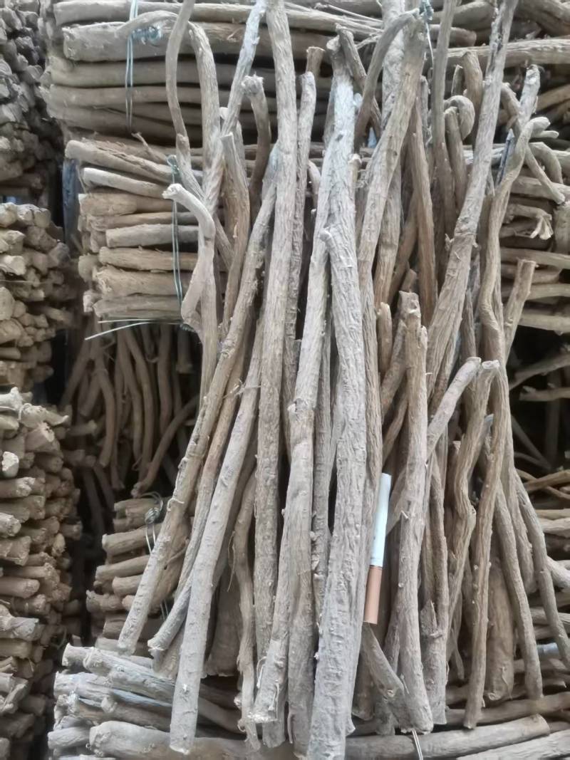 精品黄芪条甘肃张掖黄芪条，产地货源，量大产地直发