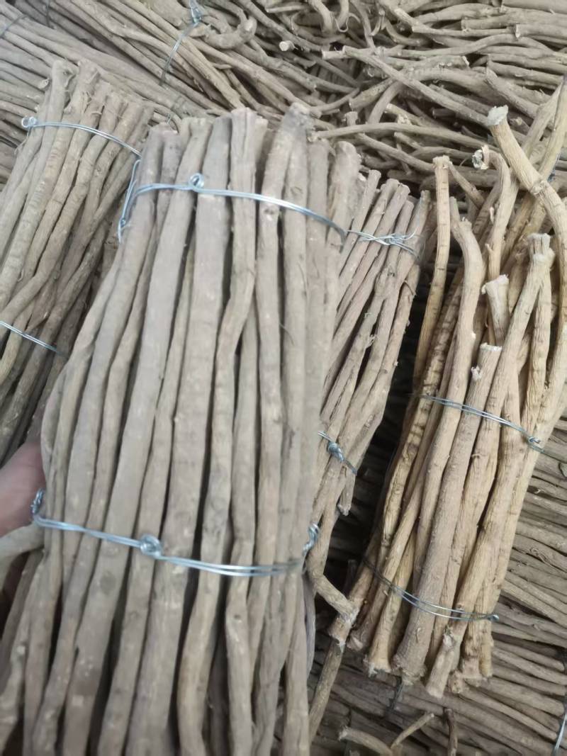 精品黄芪条甘肃张掖黄芪条，产地货源，量大产地直发