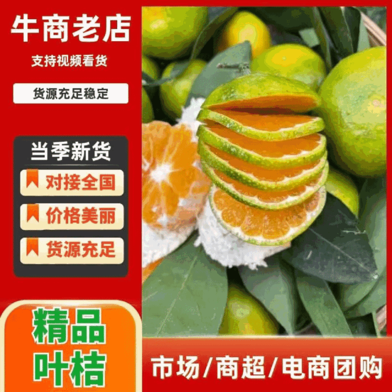 华宁县叶桔自家果园欢迎品尝酸甜可口汁水丰富可打蜡耐运输储存