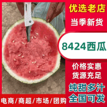 湖北8424西瓜头茬货脆甜熟度刚好大红瓤口价格海底瓜形圆润
