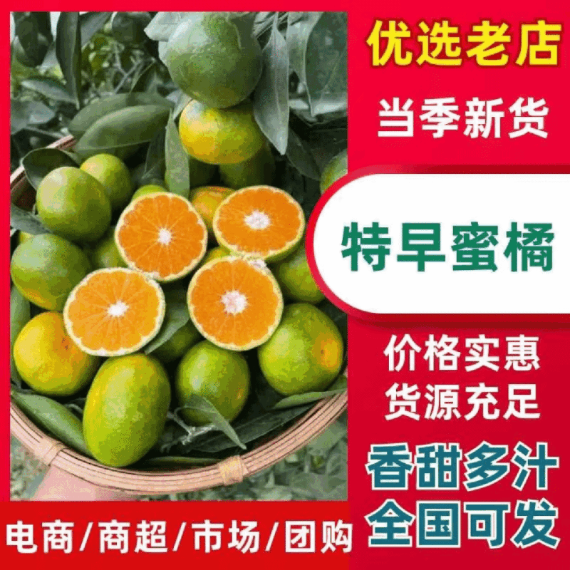 高山蜜橘特早蜜橘湖北蜜桔大芬口感好品质好皮薄化楂大小都有