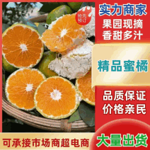 湖北高山蜜橘叶桔特早蜜桔扁柑大量供应电商市场商超