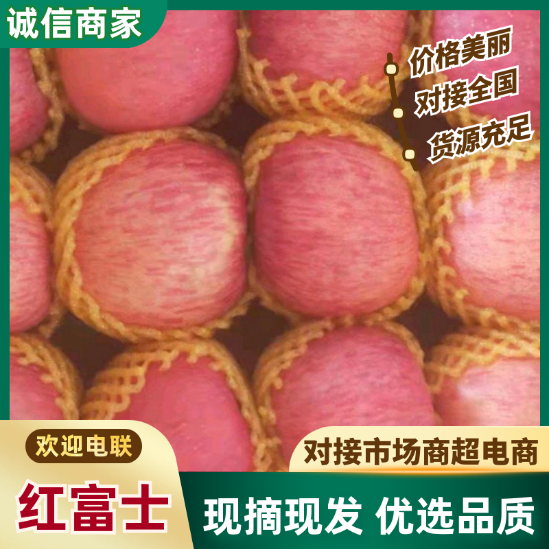红富士苹果，粉红女士大量上市，产地直发，品质保证