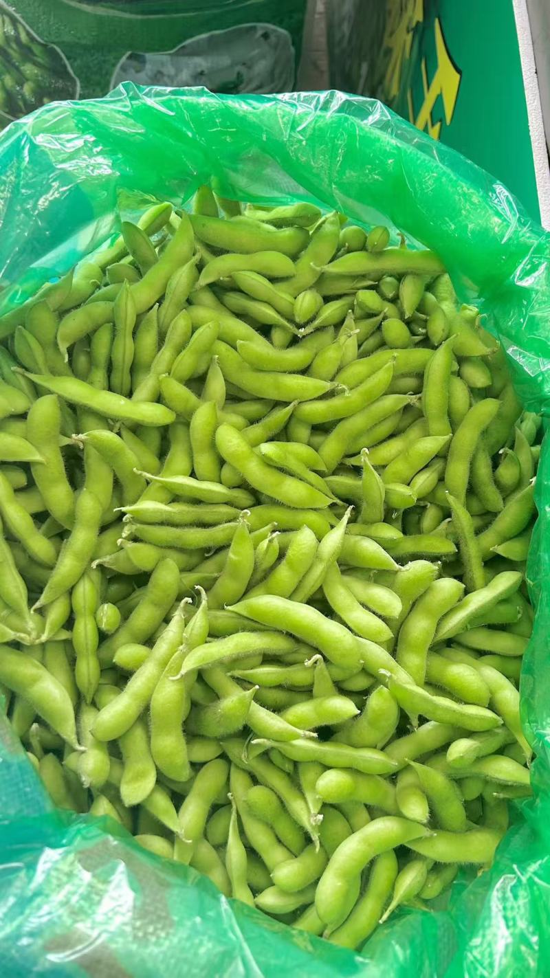 云南曲靖本地精品毛豆产地直发量大从优品质保障可对接全国